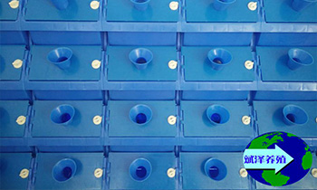 室内蟹公寓繁育模式