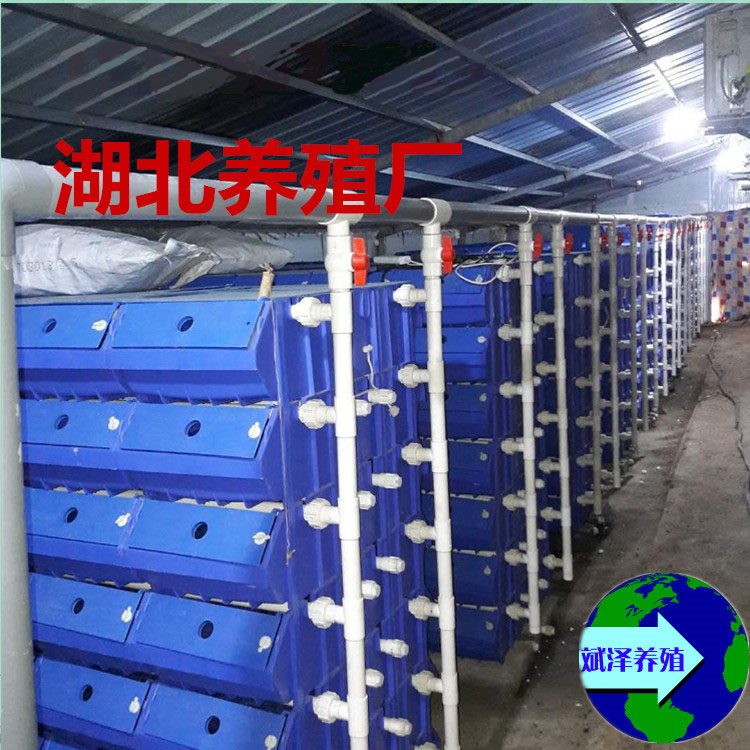 室内立体化繁育青蟹龙虾养蟹箱蟹公寓青蟹暂养盒大闸蟹小龙虾繁育