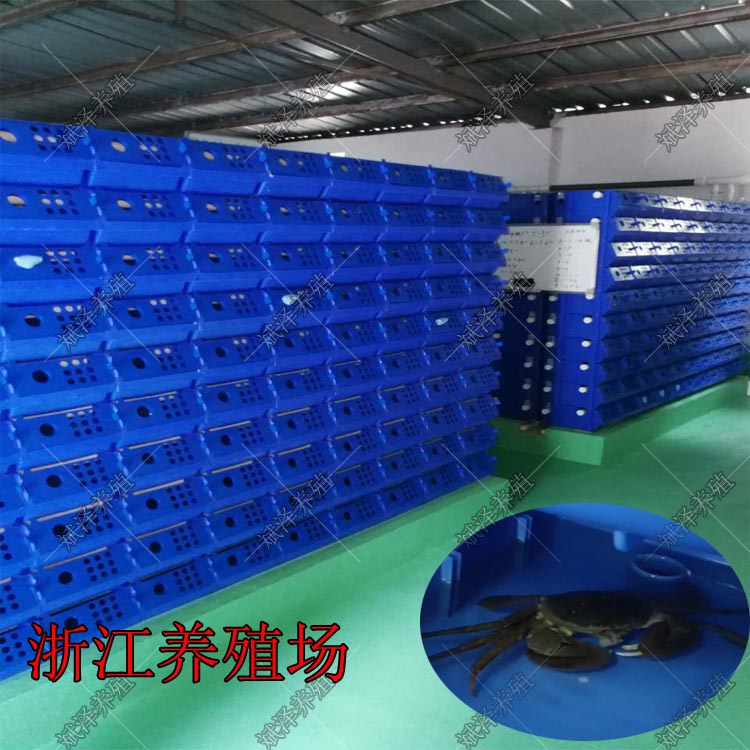 给蟹一个安静舒适的环境