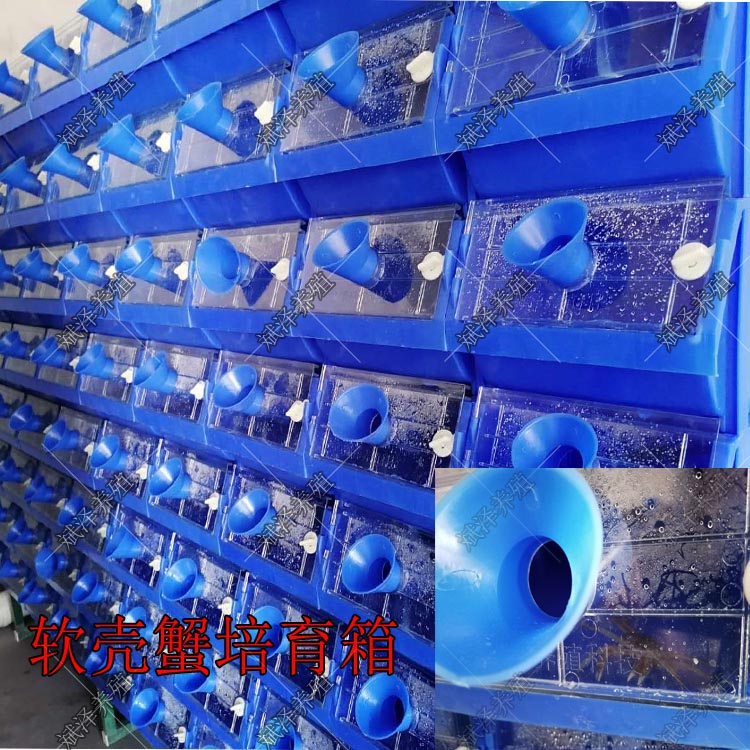 室内立体软壳蟹培育箱 透明门